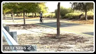 Al Qudra cycling track: Haven for adventure seekers and fitness enthusiasts