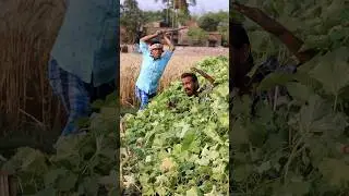 Kisan funny video 🤣 