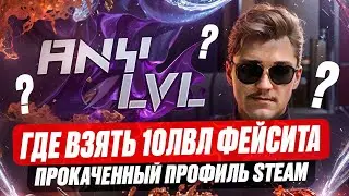 ПРОВЕРКА МАГАЗИНА ANYLVL ПРИОБРЕЛ 10 LVL FACEIT CS2 ВЗЯЛ ТОПОВЫЙ STEAM ПРОФИЛЬ НА ANYLVL В 2024 ГОДУ