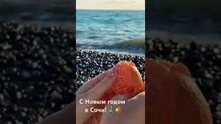 01.01.2024. Погода в Сочи в январе. Смотри на Чёрное море каждый день. #черноеморекаждыйдень