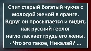 Старый Богатый Чукча и Никалай! Сборник Изумрудных Анекдотов №159