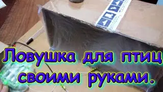 Ловушка для птиц своими руками.