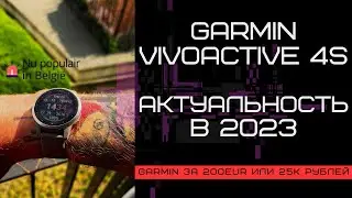 6.GARMIN VIVOACTIVE 4S 2024