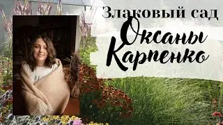 Злаковый сад Оксаны Карпенко  Цветник Новой волны | Садовый подкаст