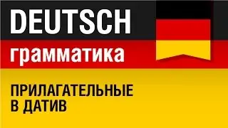 Прилагательные в датив. Adjektive im Dativ. Немецкая грамматика. Урок 14/31. Елена Шипилова.