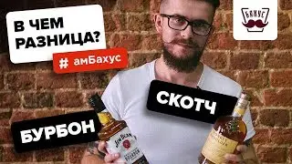 Чем отличается скотч от бурбона?