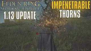 Elden Ring DLC Impenetrable Thorns NERFED Update 1.13 Test PVE