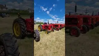 Tractors on display at the Wessex midsummer vintage show.