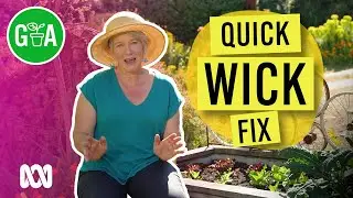 Build an Easy Wicking Bed | Gardening 101 | Gardening Australia