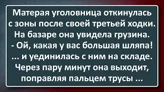 Матёрая Уголовница Завела Грузина на Склад! Сборник Изумрудных Анекдотов №120