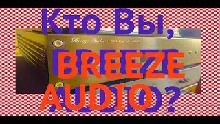 ES9028Pro Breeze Audio ЦАП 9028 - фейк или  реально хай энд #источникзвука21века ?