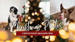 5 Christmas Photo Ideas with Your Pets!