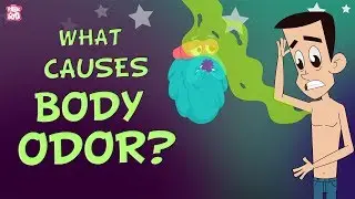 What Causes Body Odor? | The Dr. Binocs Show | Best Learning Videos For Kids | Peekaboo Kidz