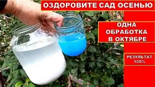 ОПРЫСКАЙ САД ПЕРЕД ЗИМОЙ, БОЛЕЗНЕЙ И ВРЕДИТЕЛЕй НЕ БУДЕТ! Истребляющая Обработка сада осень