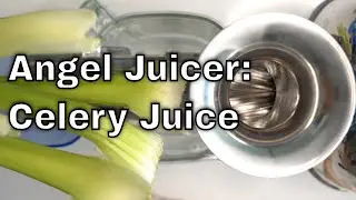 Angel Juicer - How to Make Celery Juice