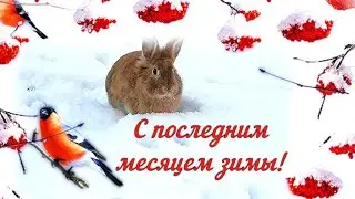 С началом февраля! С последним месяцем зимы! Зимний приветик!