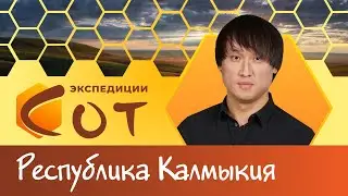 От верблюда! Экспедиция СОТ в Калмыкии