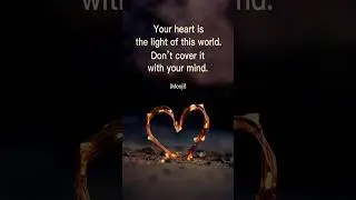 Your Heart is the Light