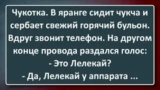 Чукча у Аппарата! Сборник Изумрудных Анекдотов №144