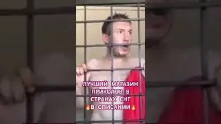 😂😂😂 СОЛЕВОЙ КОТИК 😂😂😂