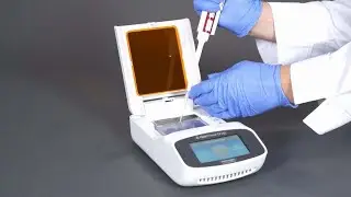 How-To Perform Rapid Electrophoresis Analysis Using an E-Gel Power Snap System and E-Gel EX Cassette