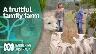 A fruitful family farm | Becoming self-sufficient | Gardening Australia