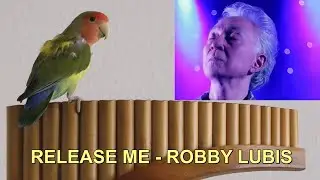 RELEASE ME - ROBBY LUBIS