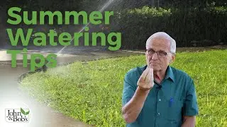 Summer Watering Tips | Lawn and Garden