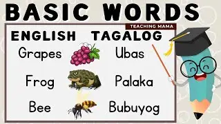 Learn Basic Words | Part 2 | English-Tagalog | For Preschool and Kinder | Teaching Mama