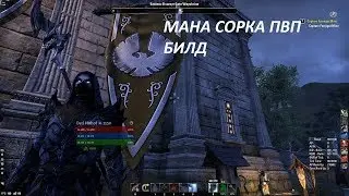 Мана Сорка ПвП билд l Mana Sorcerer PvP build Summerset