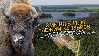 Бежим за зубров 2023 АНОНС!!!