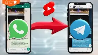 Переносим чат из WhatsApp в Telegram за 47 секунд