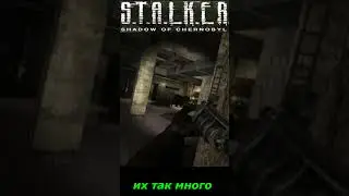 #SHORTS # НАРЕЗКА # их так много #🎮#ПРИКОЛ # S T A L K E R