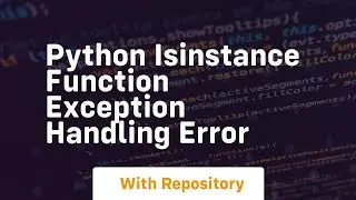 Python Isinstance Function exception handling error