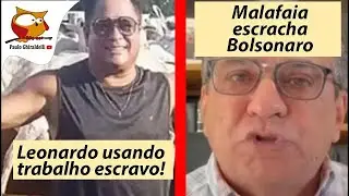 MALAFAIA ESCRACHA BOLSONARO. LEONARDO USA TRABALHO ESCRAVO - 8 de outubro de 2024