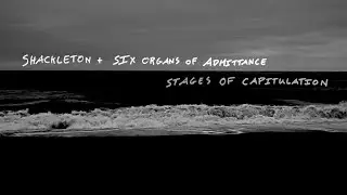 Shackleton & Six Organs of Admittance "Stages Of Capitulation" (Official Music Video)