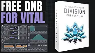 FREE DNB PRESETS FOR VITAL || PROVIDED BY BLACK LOTUS AUDIO