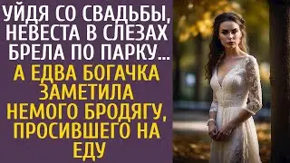 Уйдя со свадьбы, невеста в слезах брела по парку… А едва богачка заметила бродягу, просившего на еду