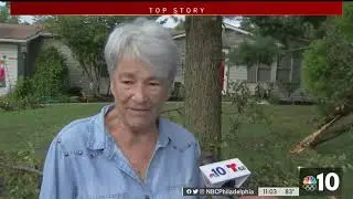 Trees Fall on Homes During Night of Storms