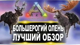 Большерогий олень (Megaloceros) в АРК. Лучший обзор: приручение, разведение и способности  в ark.