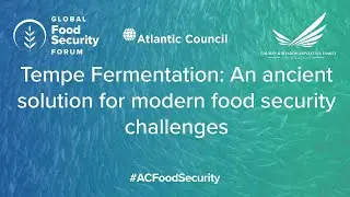 Tempe Fermentation: An ancient solution for modern food security challenges