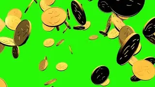 Falling Coins Animation Green Screen Background Effects HD video