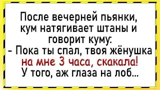 Как после пьянки, жену кума понесло! Сборник свежих анекдотов! Юмор!