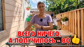 ПРОЩЕ ПРОСТОГО СУШИЛКА своими руками для ЧЕСНОКА ТРАВ ЯБЛОК / РАСХЛАМЛЕНИЕ ЛАЙФХАК @obovsemsmarusya