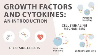 Cell Signaling: Introduction to Growth factors and Cytokines