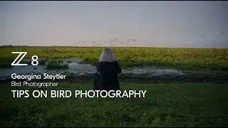 Nikon Z 8 | Tips for photographing birds in flight with Georgina Steytler