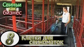 СОДЕРЖАНИЕ СВИНОМАТОК В РАЗБОРНЫХ КЛЕТКАХ