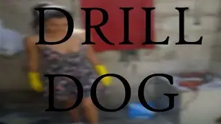 Drill Dog | The Disgusting Video Of A Puppy's Final 10 Minutes