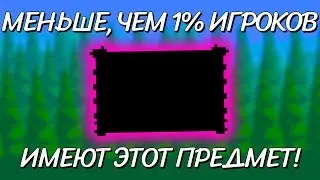 МЕНЬШЕ, ЧЕМ 1% ВСЕХ ИГРОКОВ TERRARIA ИМЕЮТ ЭТОТ ПРЕДМЕТ! САМЫЕ РЕДКИЕ ПРЕДМЕТЫ В TERRARIA!