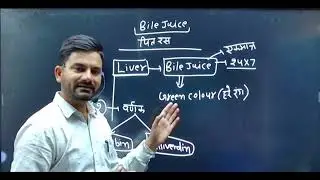 जानिए पित रस के बारे में || Gyandeep Education Mission